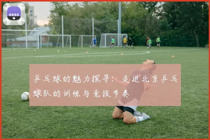 乒乓球的魅力探寻：走进北京乒乓球队的训练与竞技节奏