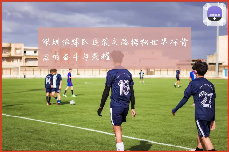 深圳排球队逆袭之路揭秘世界杯背后的奋斗与荣耀