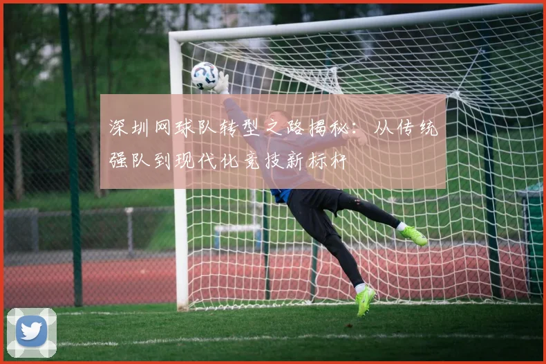 深圳网球队转型之路揭秘：从传统强队到现代化竞技新标杆