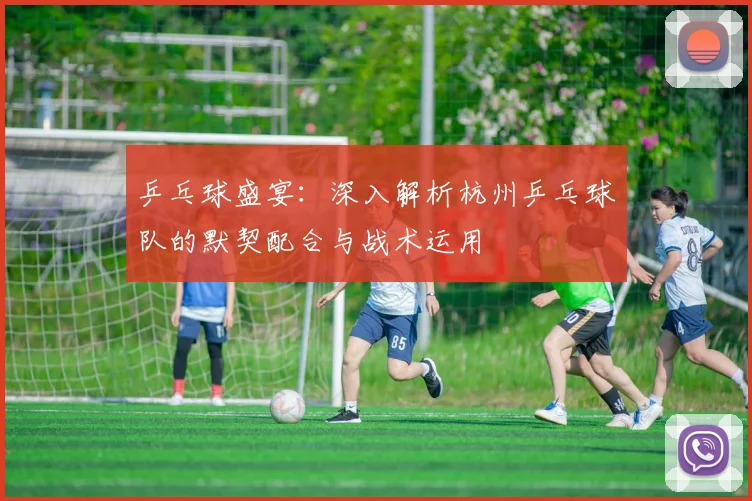 乒乓球盛宴：深入解析杭州乒乓球队的默契配合与战术运用