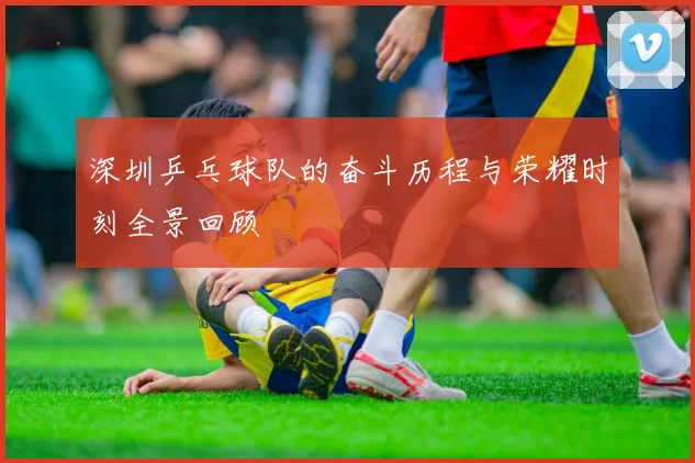 深圳乒乓球队的奋斗历程与荣耀时刻全景回顾