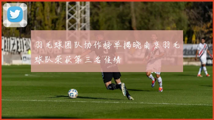 羽毛球团队协作榜单揭晓南京羽毛球队荣获第三名佳绩