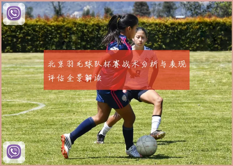 北京羽毛球队杯赛战术分析与表现评估全景解读